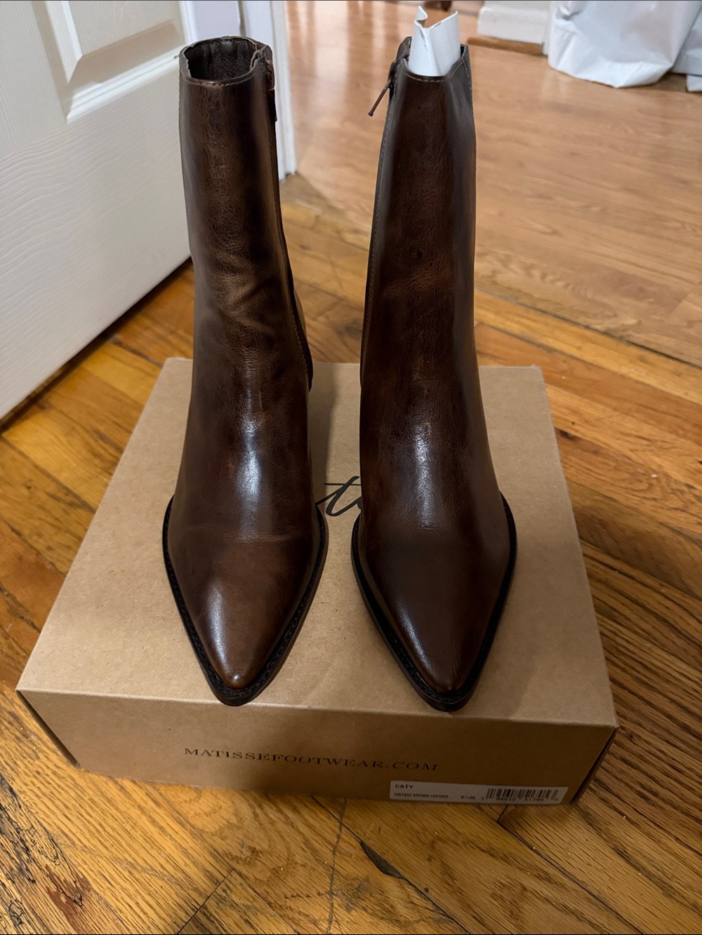 Matisse Dark Brown Pointed-Toe Leather Ankle Boots
